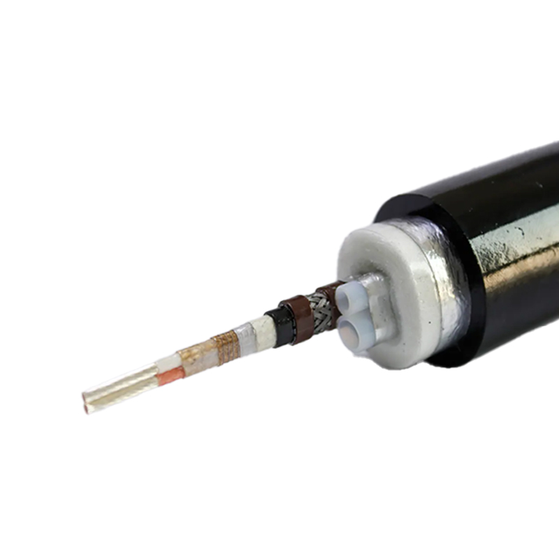 煙道采樣管CEMS系列